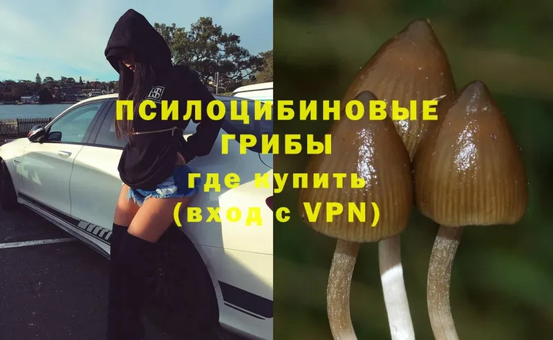 гидра ССЫЛКА  Алексеевка  Галлюциногенные грибы MAGIC MUSHROOMS 